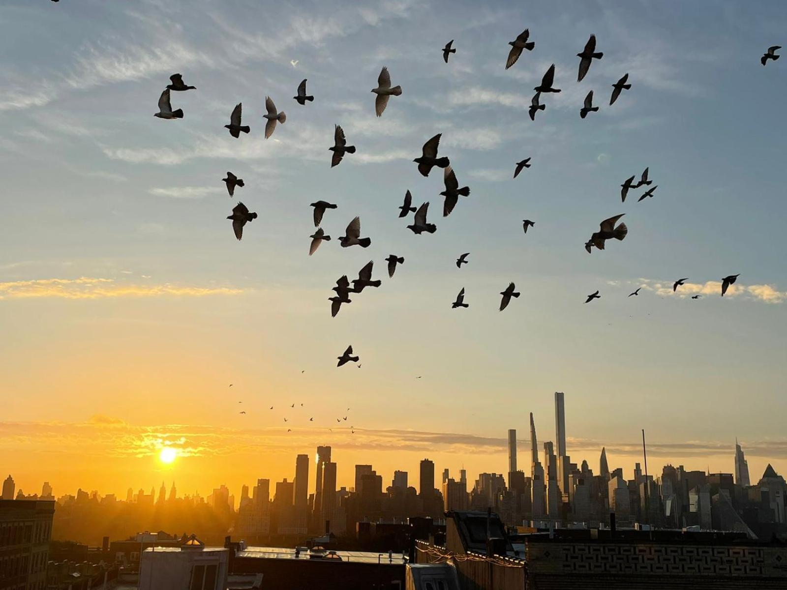 See Ny Now Sleeps 21 Union City Buitenkant foto