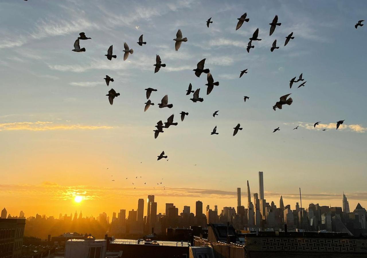 See Ny Now Sleeps 21 Union City Buitenkant foto